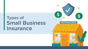 Insurance for Small Businesses: What You Need to Know